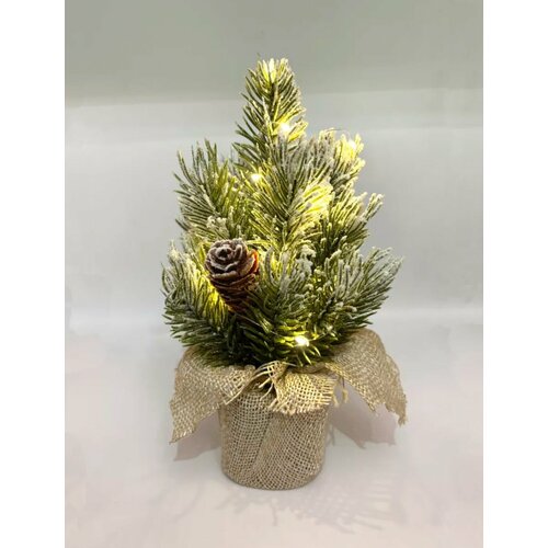 ���� ���������� ���������� ���� � ���������� �� ���������� 19��