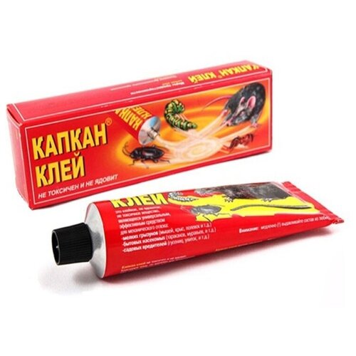 ���� ���� 135 �� ��� ������ ����, ����� � ������.