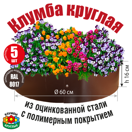 ���� ������ ������� ������� �� ������������ ����� � ���������� ���������