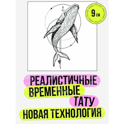 ���� ��������� ���������� ��� �������� ���