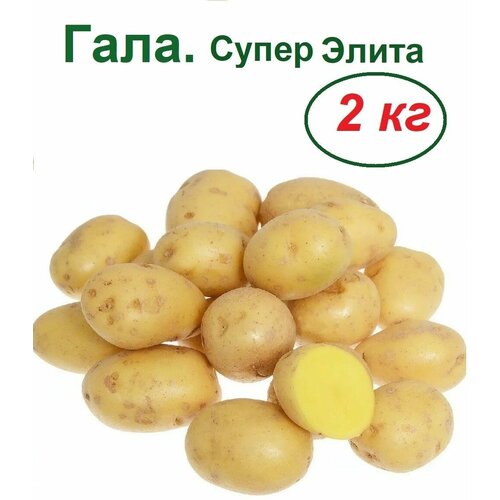 ���� ��������� ����, 2 ��, ��������, ���� �������� � ��������������� �������� ��������, ���������� ���������� ��������������� �������, ������� ����������