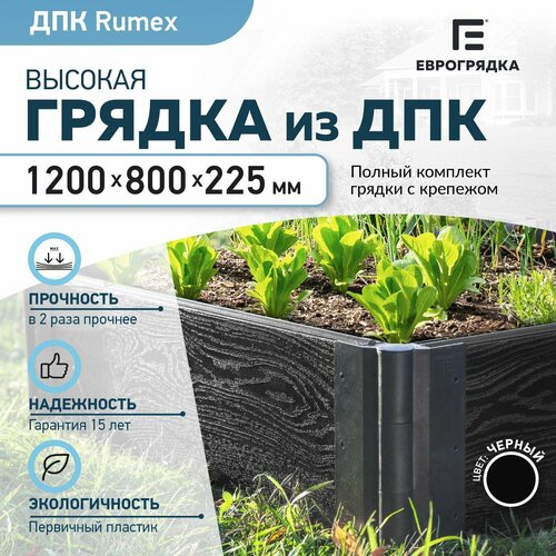      Rumex 1.20.8 , (: 22530 , : )  -     , -,   