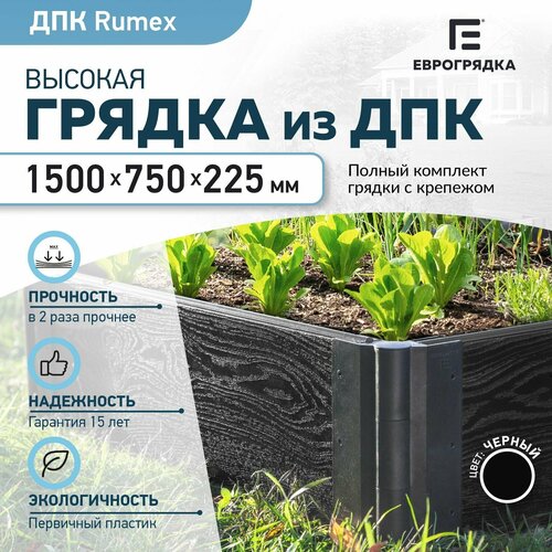 ���� ������ �� ��� 1.5 � � 0.75 �, (����� Rumex: 225�30 ��, ����: ������)