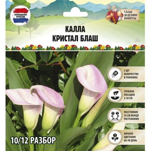 ���� �����