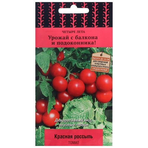 ���� ������ ����� ������ ���� ����� ������� ������� 5 ��.