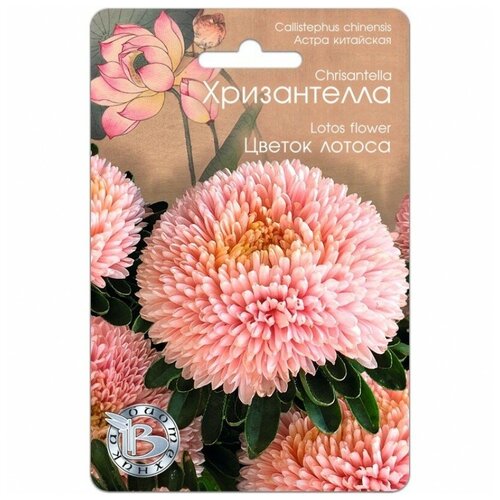 ���� ������ ����� ��������� 