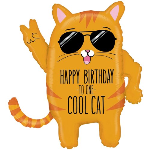    HB TO ONE COOL CAT   -     , -  