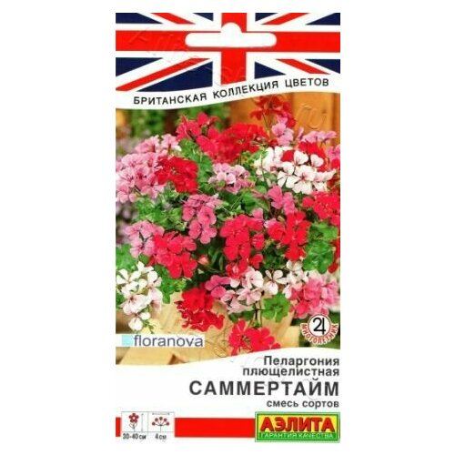 ���� ���������� ������������ ���������� ( 1 �������� ) , ����� �������