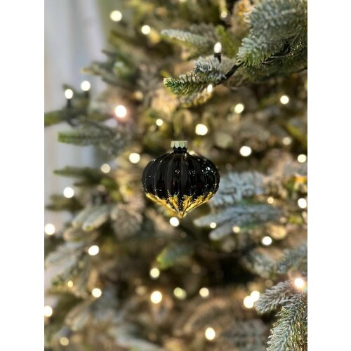 ���� ����� 