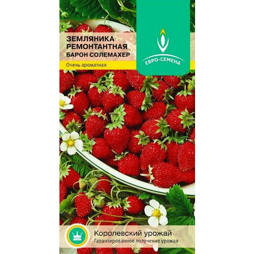 ���� ��������� ������������ ����� ���������. ������. ����������� ���� � ����������� ������� ������ �� 4 ��. 1 ����� 0,03��