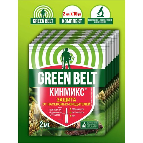     Green Belt 2 .  10 .  -     , -,   