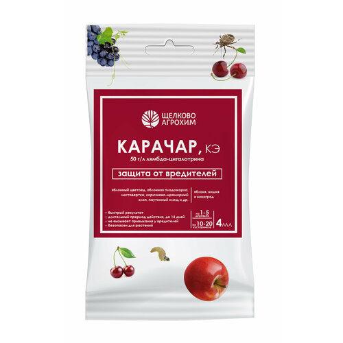 ���� ������� 4�� �������� �� ���������� �����, ���������� ����� � ������ ���������� �������-�������