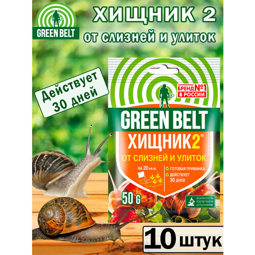 ���� �������� �� ������� � ������ ������2, 50��, 10 ����