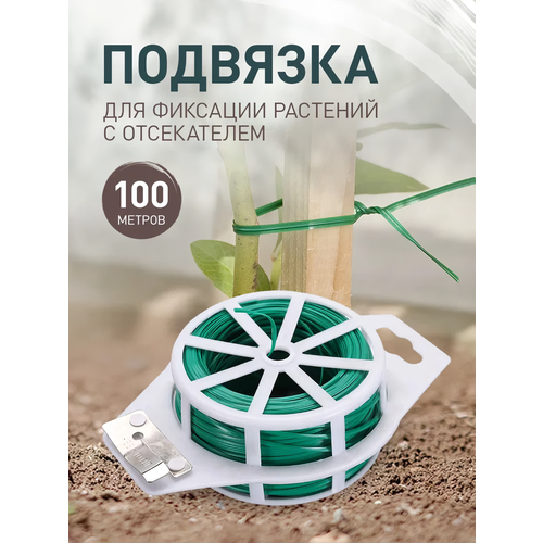        iulkapu 100   -     , -  