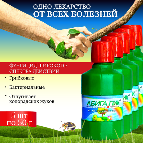 ���� �������� ����� ��� ��� ������ � ���������� ������� � ������������� ��������, 5 �� �� 50 �