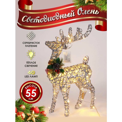 ���� ����� ���������� ������������ ���������� 50 �� ����������