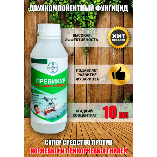 ���� �������� �������, 10 ��