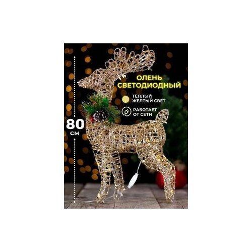 ���� ��������� ������������ ������ ����� Manufacture 80 ��