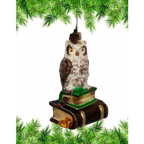 ���� ������� �� ���� ���� Komozja Family