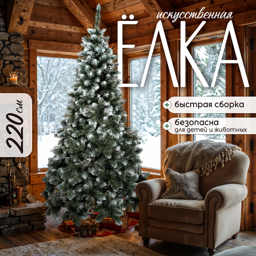 ���� ���� ���������� ������������� /� ������ ��������� 220 ��/ ����������� ������������� ���� 