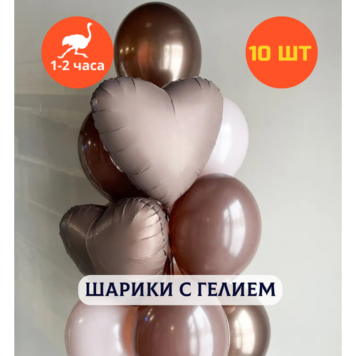 ���� ������ ��������� �� ���� ��������, ��������� ���� � ������, ���� � ���� ��������, ����� ����� ��� ������� 