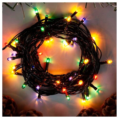 ���� �������� 