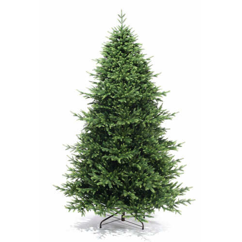 ���� ��� ������������� 