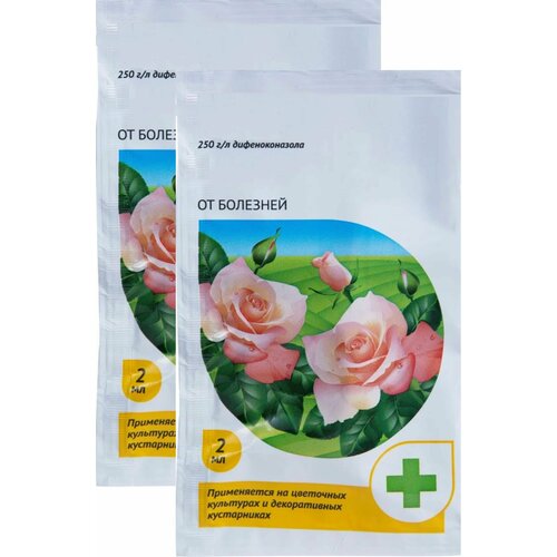 ���� �������� �� �������� ��� � ������ ��������� �������, 2 ������ �� 2 ��. ����������� �������� ��� ������ � ������������� ��������� ����, ����� ����� � ������ �����������