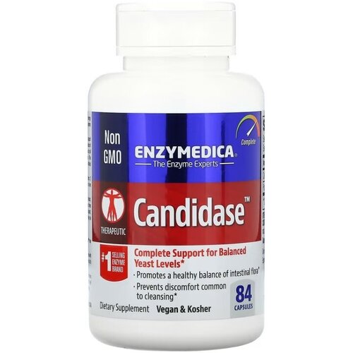   Enzymedica Candidase 84   -     , -  