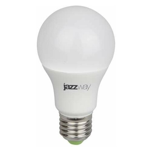      Jazzway PPG A60 Agro 9w FROST E27 IP20 5002395 16091764  -     , -,   