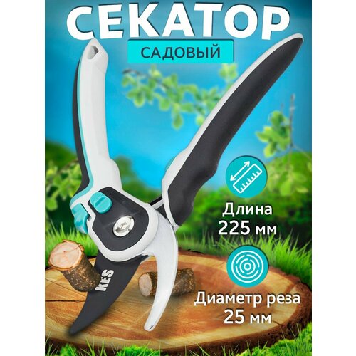 ���� �������� ��� ����������