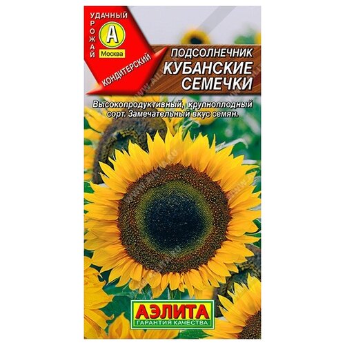 ���� ������ ��������� ������ ������������ ��������� ������� 5 �