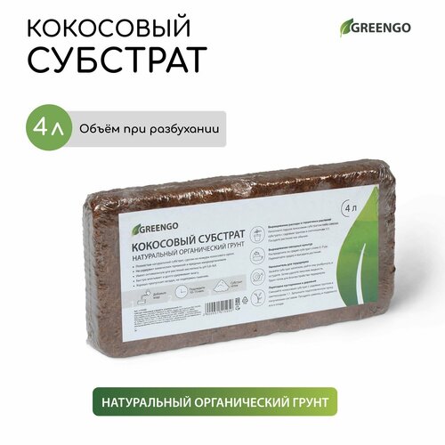    Greengo ,      ,  , 4     -     , -,   