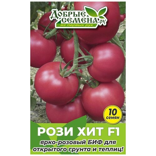 ���� ������ ������ ���� ��� F1 - 10 �� - ������ ������. ��