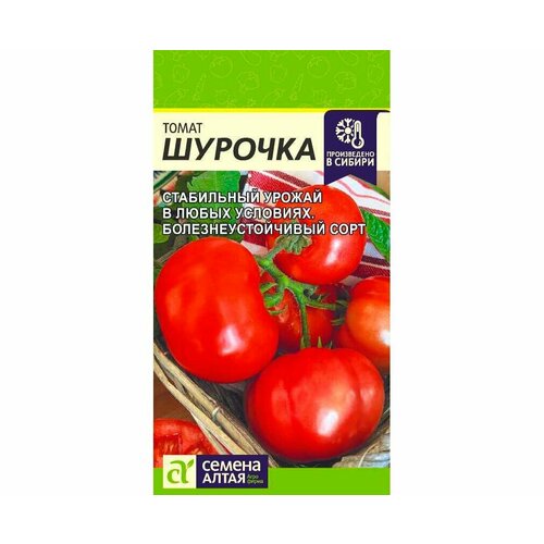 ���� ������ ������ 