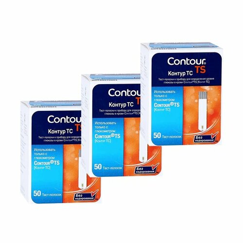 ���� ����-������� ������ �� (�ontour TS) � 150 (31.01.2025)