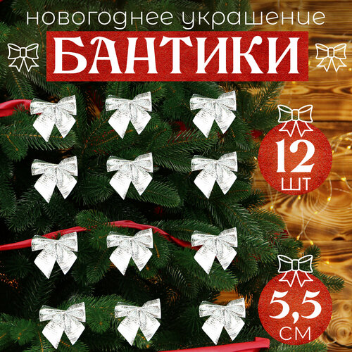 ���� ����� �� ���� ����������� 12�� 5,5��