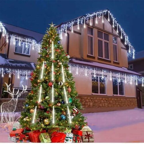 ���� ������� �������� 