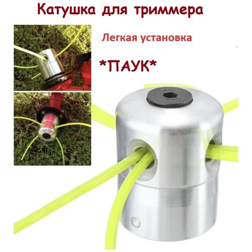 ���� ������� ��� �������� 