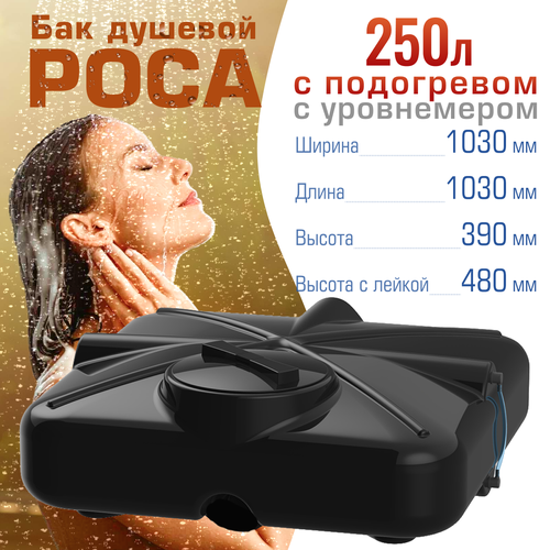 ���� ��� ��� ���� ���� 250 ������ � ���������� � �����������