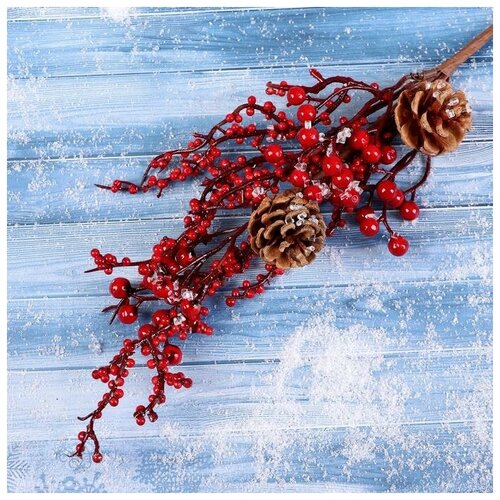 ���� ����� 