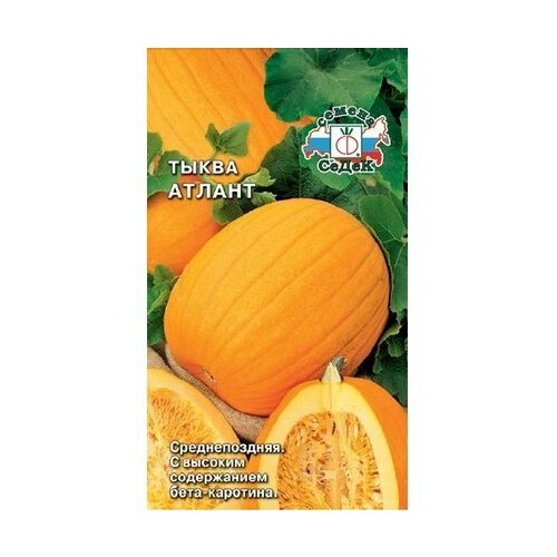 ���� ������ ����� ����� ������