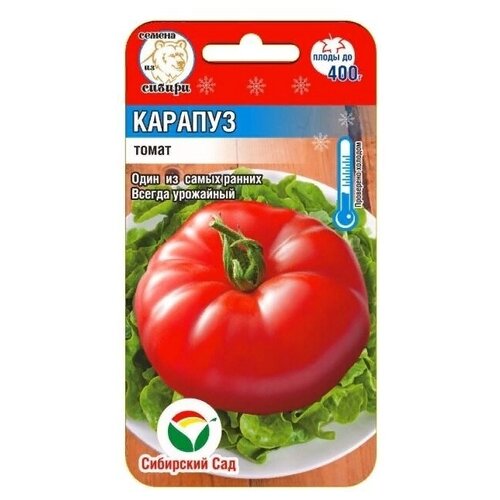 ���� ������� 20�� ����� (��� ���)