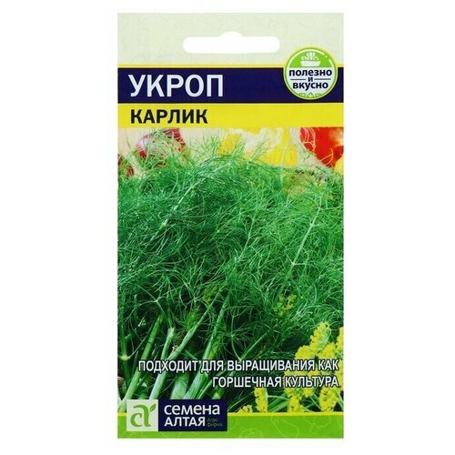 ���� ������ ����� 