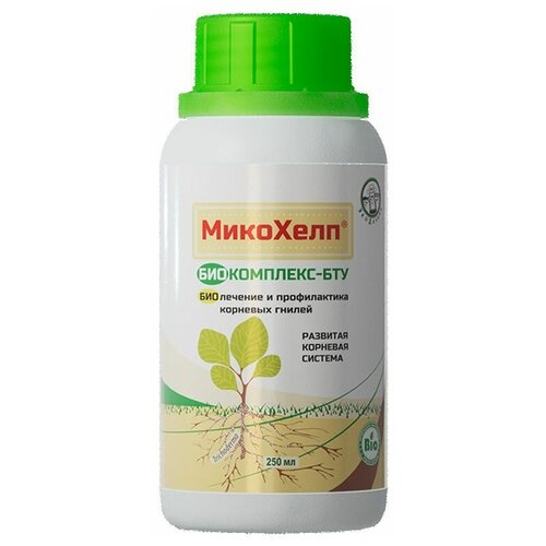 ���� ������������� �������� �������� ��������� �����������-��� 250 ��.