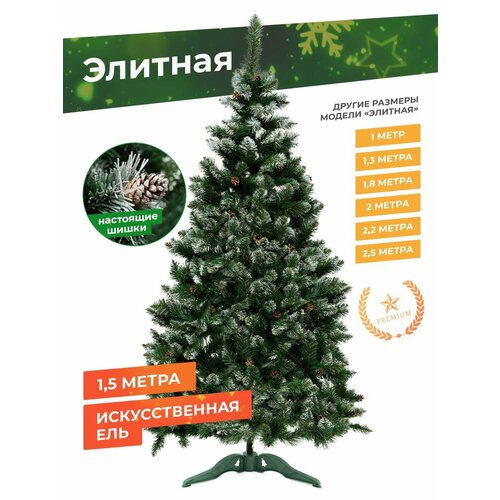 ���� ���� ������������� ����������� � ������� TIME TO PARTY ������� 150 ��