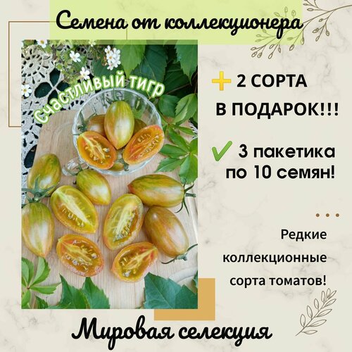 ���� ����� ���������� ����, ������� ��������, ������������� ����