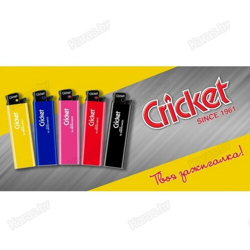   ,  Cricket () ED1 New Standard,  5  (5 )