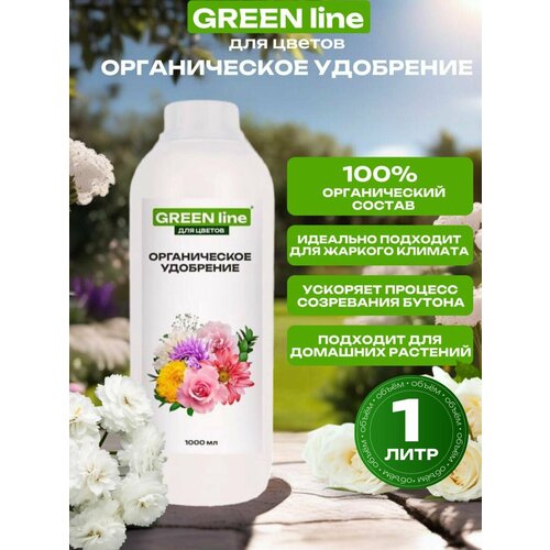   GREEN line    ,  , , , ,   1000   -     , -  