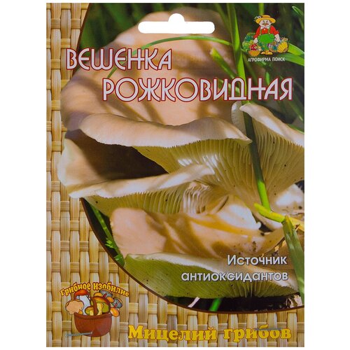 ���� ������� �� ��������� �������� ������� ����������� 12 ��.